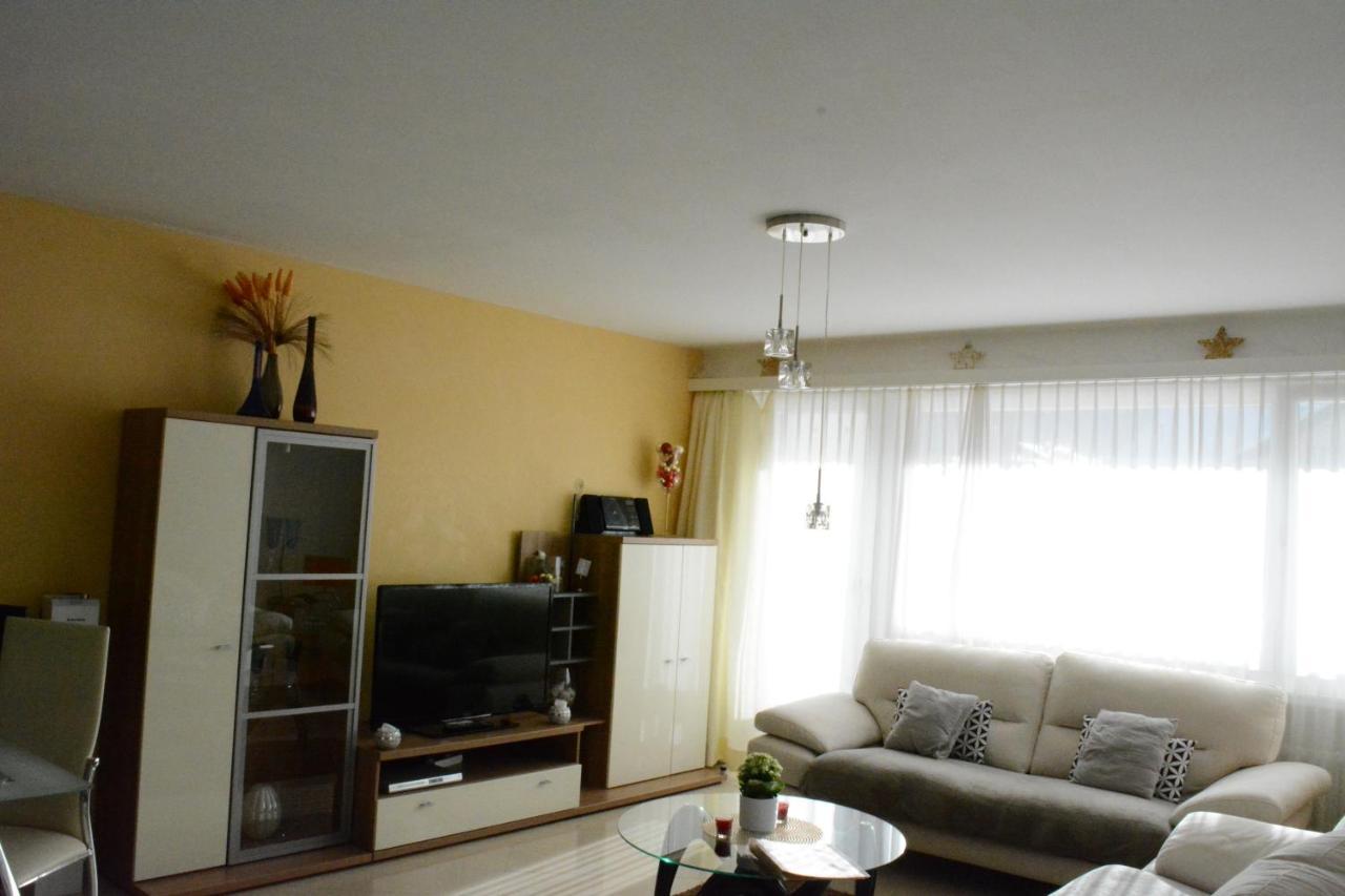 Apartment Viktoria *
